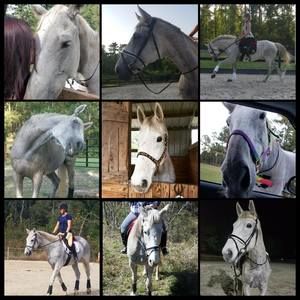 Meet your Posher, Amber